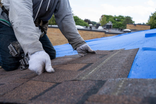 Best Flat Roof Repair Services  in Tullahoma, TN